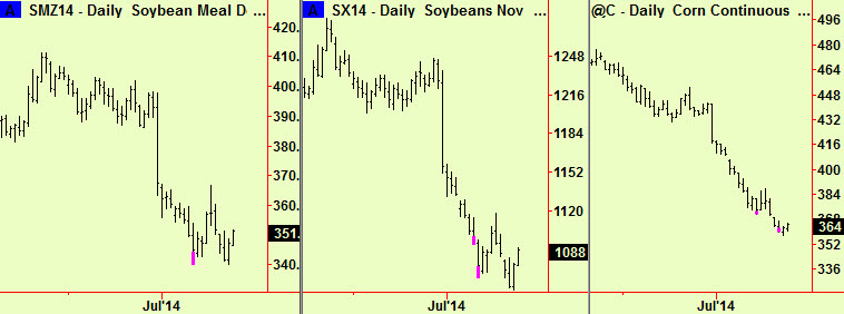 Meal, Beans, Corn dly btm exts