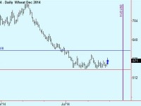 Buy Wheat