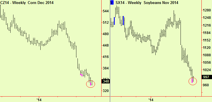 Corn and beans bottoms