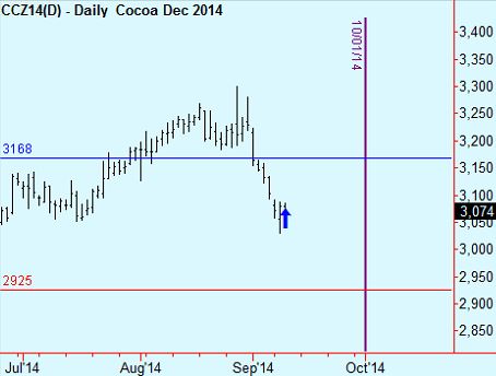 cocoa