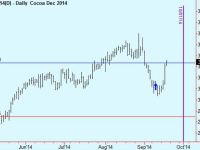 Cocoa trade update