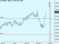 Cocoa trade update