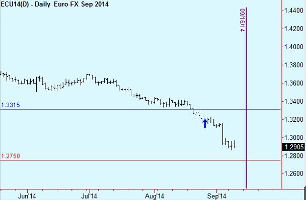 euro