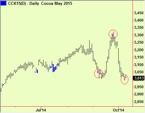Cocoa bottom ext2