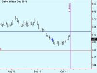 Exit Wheat trade