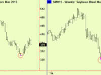 Crude oil extends and update on grains