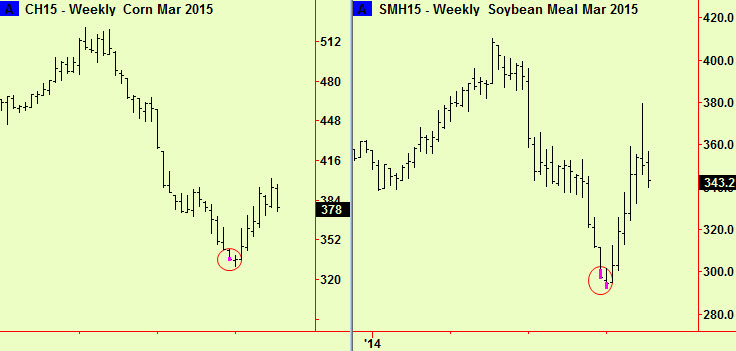 Corn and Soya meal weekly