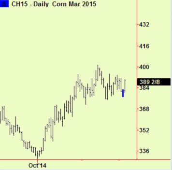 corn