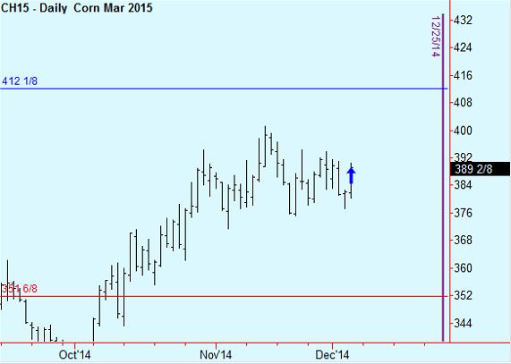 corn2
