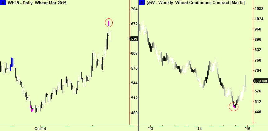 wheat daily and weekly