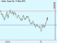 Sell Sugar