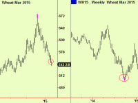 Wheat makes a bottom extension