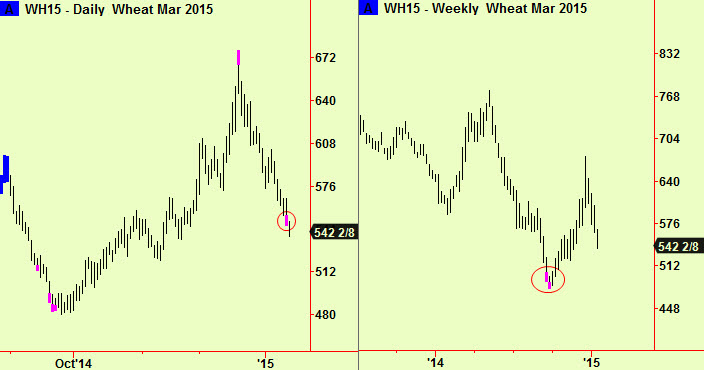 Wheat bottom extensions