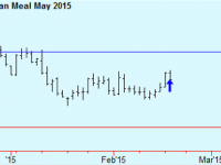 Buy Soymeal