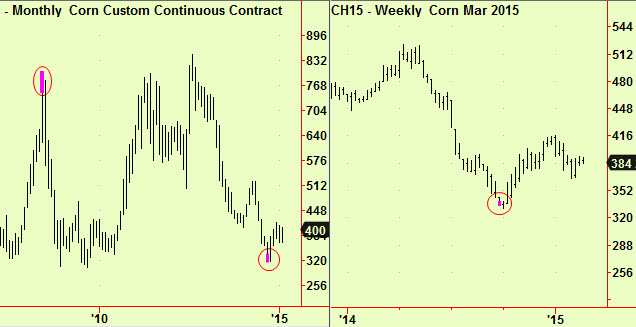 Corn Monthly and weekly