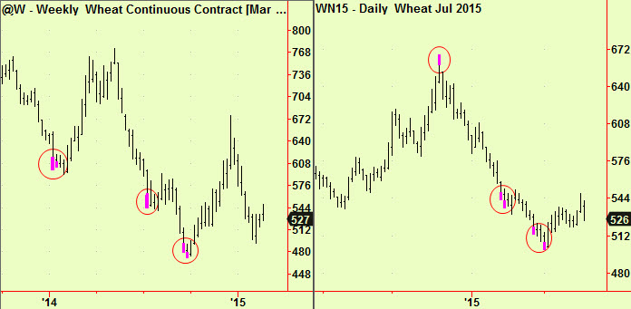 Wheat weekly, daily