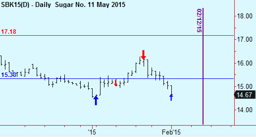 sugar