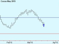 Buy May Cocoa