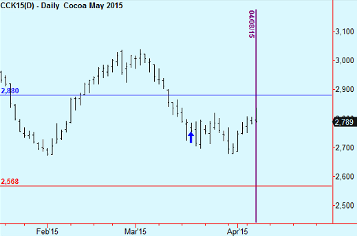 cocoa1