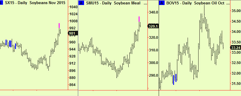 Soy beans, meal oil
