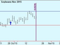 Soybean trade update