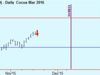 Sell Cocoa