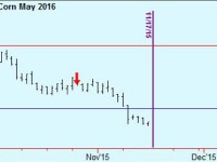 Corn update