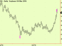 Soya oil extends