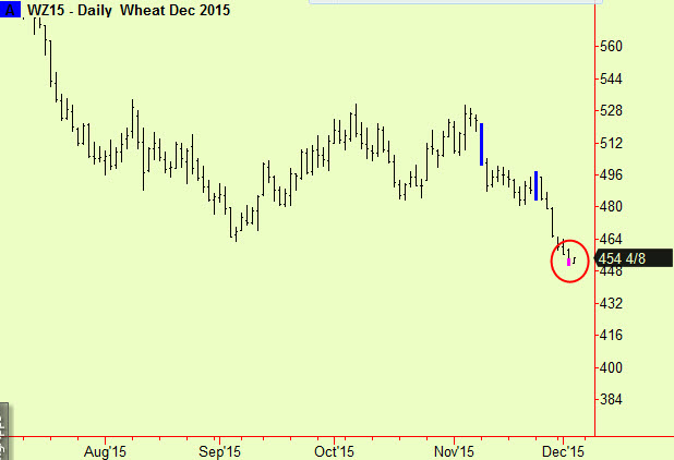 Wheat bottom ext