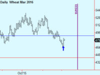 Wheat trade