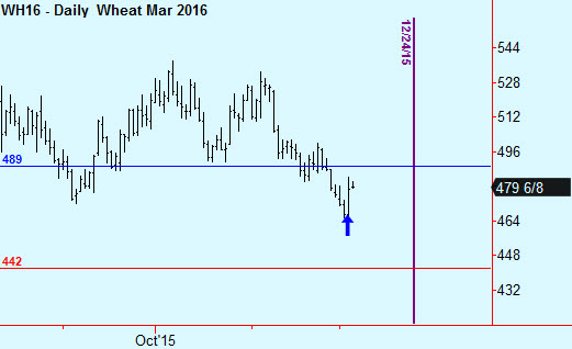 Wheat trade AlphaMail