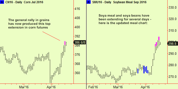 Corn & meal top exts