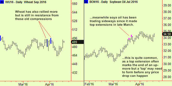 Wheat & soya oil update