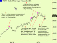 Equities – what next?