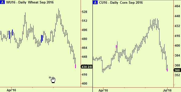 Wheat & corn bott exts