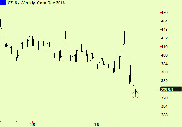 Corn wkly btm