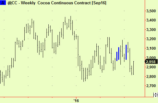 cocoa wkly comp