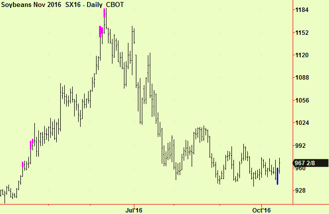 soya-bean-compression