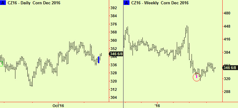 corn-comp-and-wklybott-ext