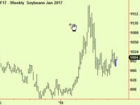 Corn, wheat & soya beans compress. Corn moves up – maybe soya too