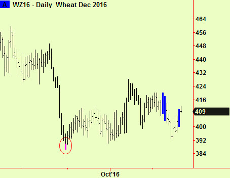 wheat-daily-comp