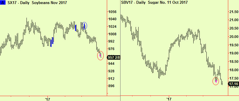 Beans & Sugar bottom exts