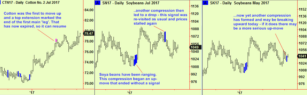 Cotton and 2xsoy ext & comps
