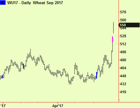Wheat daily top ext