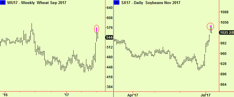 wheat wkly 7soy daily exts