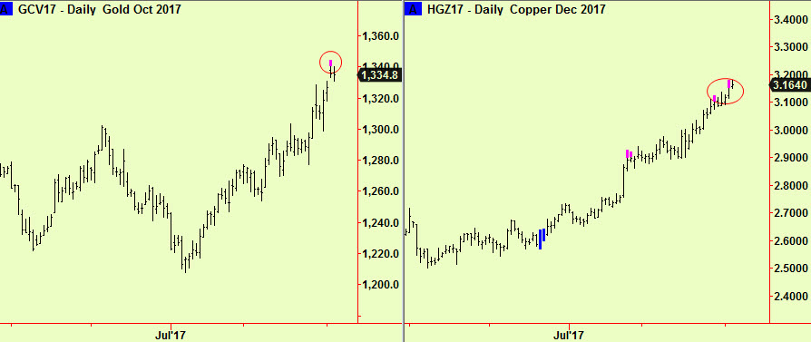 Gold & Copper top exts