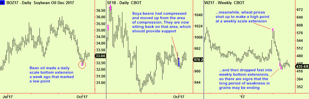 Bean oil, soy, wheat poss bottoms