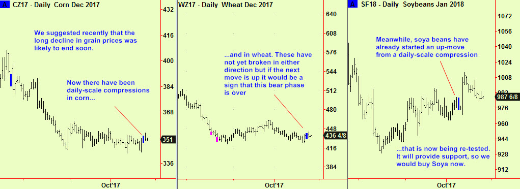 Corn, wheat, beans daily comps