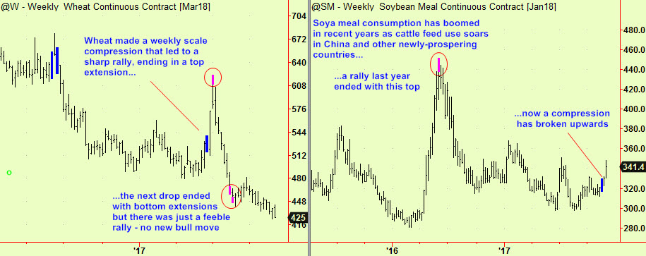 Wheat & Soy wkly updte