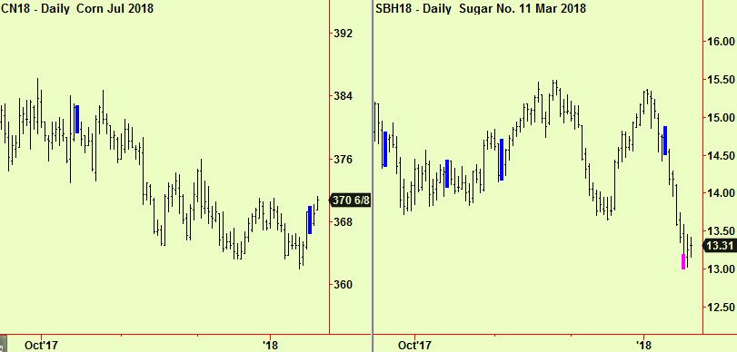 Corn comp, Sug bott